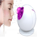 2016 new product beauty equipment skin care home spa facial sauna steamer